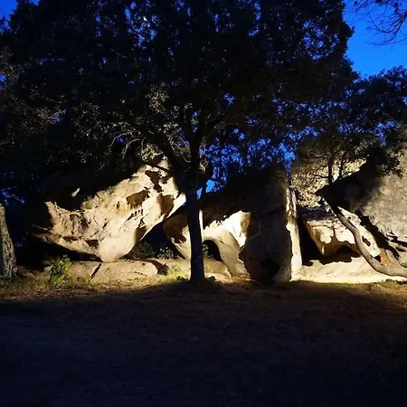 Andrea House Willa Palau