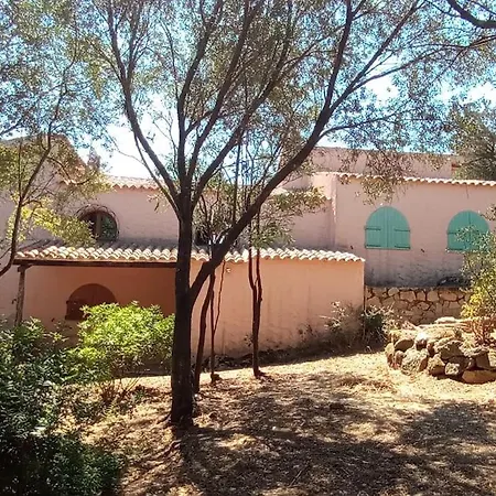 Andrea House