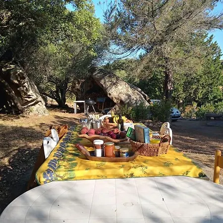 Vila Andrea House