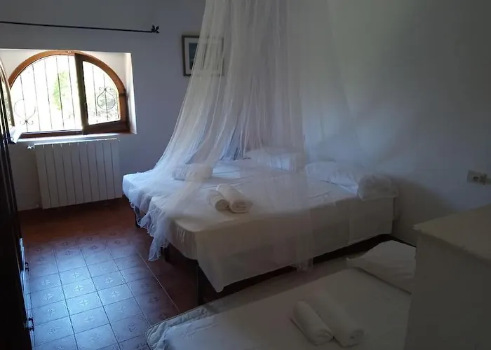 Willa Andrea House Palau