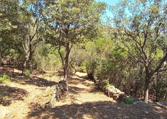 Andrea House Willa *